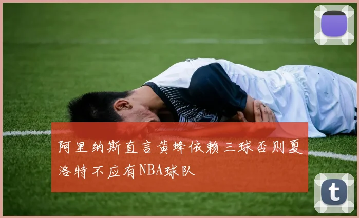 阿里纳斯直言黄蜂依赖三球否则夏洛特不应有NBA球队